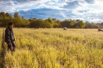 小年寄语：我们对这片土地从来深情