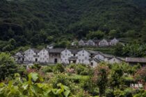 他花12年在广东深山建了一座城堡，上百只蝙蝠汇聚而来