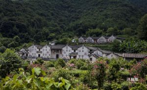 他花12年在广东深山建了一座城堡，上百只蝙蝠汇聚而来