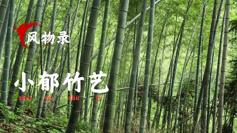 南粤山河多锦绣这和那