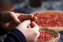 一颗红豆，重拾千年前的想念