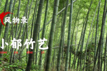风物录 | 小郁竹艺：借火修竹，围郁成器