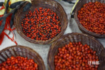 非遗 × 旅游，相看两不厌 | 广东旅博会观察