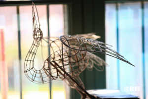 你们相信择一事 终一生吗？