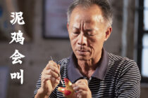 这只小黄鸡，陪伴了广东江门的孩子们200年