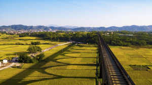 云浮：只缘身在此山中