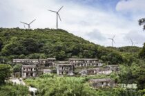 南澳岛上有宋茶