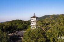 禅宗六祖在人间