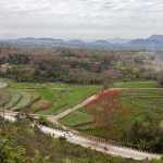 在非遗保护中寻找商业和文化的平衡