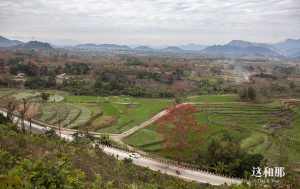 在非遗保护中寻找商业和文化的平衡