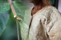 黎族树皮布：从有毒之树取贴身之衣