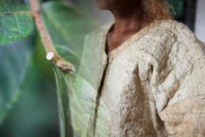 黎族树皮布：从有毒之树取贴身之衣