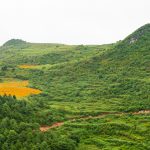 一个滇东南贫困县的文化扶贫探索