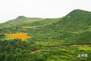 一个滇东南贫困县的文化扶贫探索