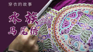 穿衣的故事1-水族马尾绣