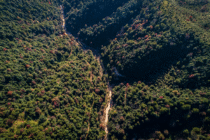 相逢在岭南：苏东坡与韩愈的隔空对话