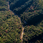 相逢在岭南：苏东坡与韩愈的隔空对话