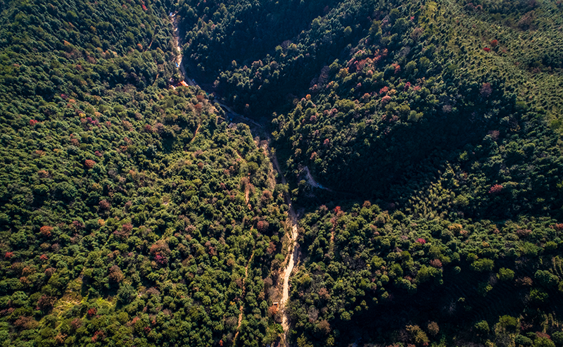 相逢在岭南：苏东坡与韩愈的隔空对话